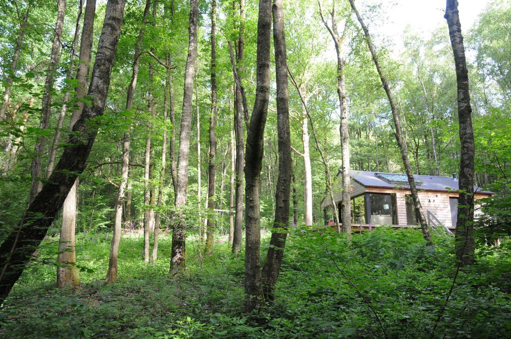 Droles D'Ecureuils Villa Les Nobertins ภายนอก รูปภาพ